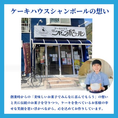 【ケーキハウスシャンボール】 こだわり焼き菓子 詰め合わせ 6～7品[039-005]