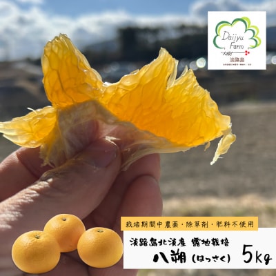 淡路島北淡産 露地栽培はっさく -栽培期間中、農薬・除草剤・肥料不使用 -　約5kg　aw03036