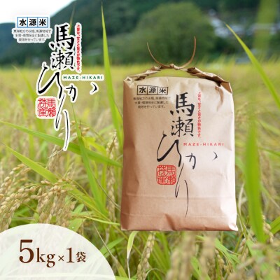 新米先行受付【2026年産】(10月中旬頃から順次発送) 馬瀬ひかり 5kg【125-1】