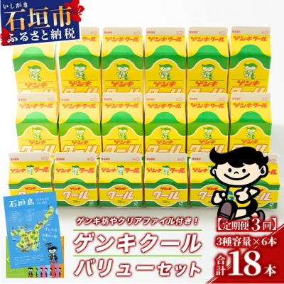 【ふるさと納税限定】【定期便_3回】ゲンキクールバリューセット【八重山ゲンキ乳業】GN-1_3t