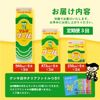 【ふるさと納税限定】【定期便_3回】ゲンキクールバリューセット【八重山ゲンキ乳業】GN-1_3t