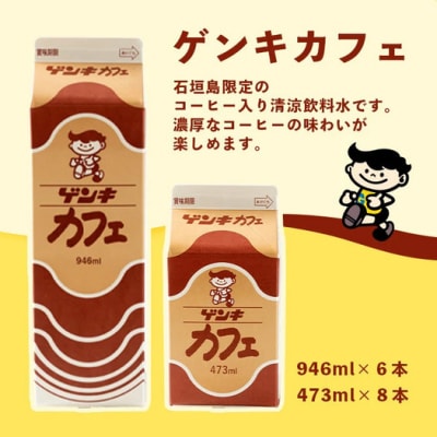 【ふるさと納税限定】ゲンキカフェバリューセット【八重山ゲンキ乳業】