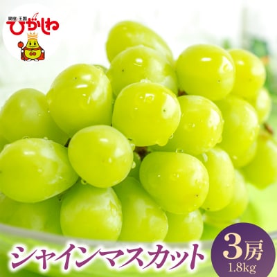 【2026年産】 シャインマスカット 3房 1.8kg (1房約600g) hi001-052