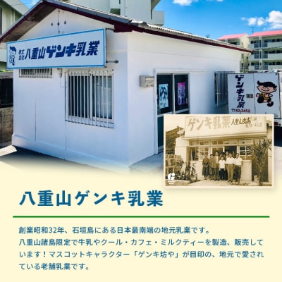 【ふるさと納税限定】【定期便_3回】ゲンキ牛乳バリューセット【八重山ゲンキ乳業】 GN-3_3t