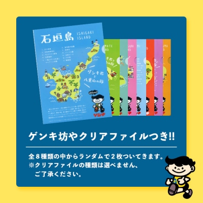 【ふるさと納税限定】【定期便_2回】八重山ゲンキ乳業 全種バリューセット GN-4_2t