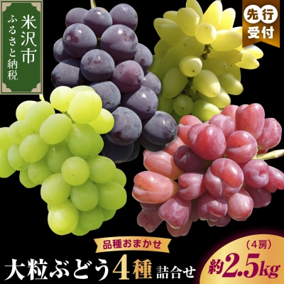 【先行受付】令和8年産 大粒ぶどう詰合せ 4種類 2.5kg 4房 品種おまかせ