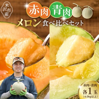 【先行受付】 令和8年産 赤肉青肉メロン 食べ比べセット 各1玉 計2玉 4kg以上