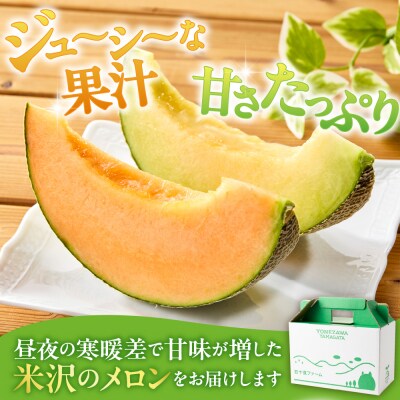 【先行受付】 令和8年産 赤肉青肉メロン 食べ比べセット 各1玉 計2玉 4kg以上