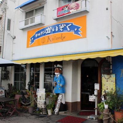 冷凍 ポーク カレー 5パック セット キッチンかいぞく B級グルメ [2123003]