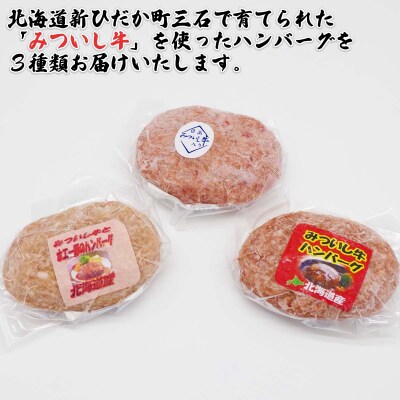 北海道産 黒毛和牛 みついし牛 ハンバーグ3種各3個セット 計900g