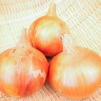【美菜恋来屋】淡路島たまねぎの元祖 「淡路中甲高黄」3kg