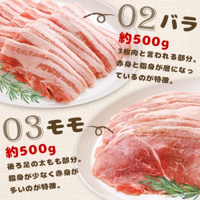 北海道中標津産 ミルキーポーク3点セット(計1.6kg)【1500102】