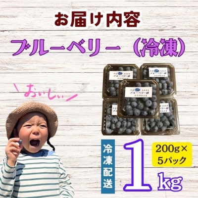 【2026年産】<冷凍> 完熟 ブルーベリー 姫 1kg(200g×5パック)