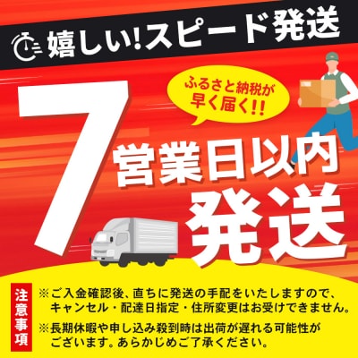【スピード発送】佐賀牛 サーロインステーキ 200g×3枚(H065218)