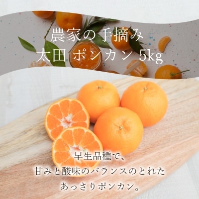農家の手摘み 太田 ポンカン 5kg〈先行受付〉_S040-005A