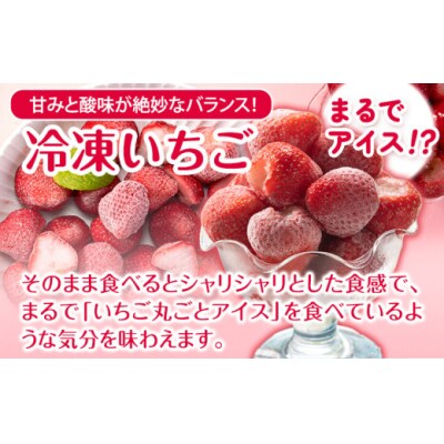 冷凍いちご 約1kg みやざき農園