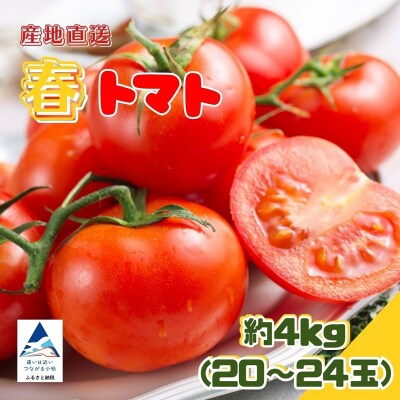 春トマト 約4kg(20玉～24玉) 小松産 野菜 春とまと
