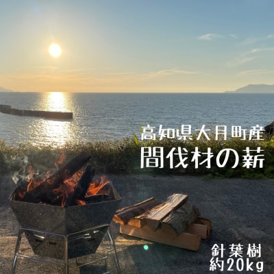 【高知県 大月町産】針葉樹の薪(ヒノキ・スギ・マツ)20kg/約35cm 