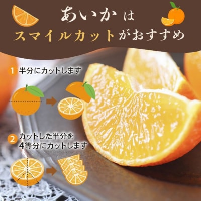 【先行予約:2026年11月20日～発送】訳あり まどんな 3kg 数量限定 愛南町青果市場組合