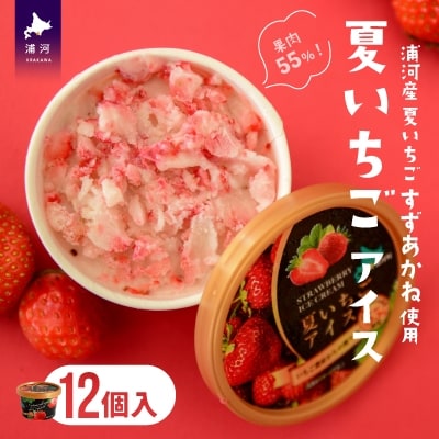 果肉55%「夏いちごアイス(12個)」[22-237]