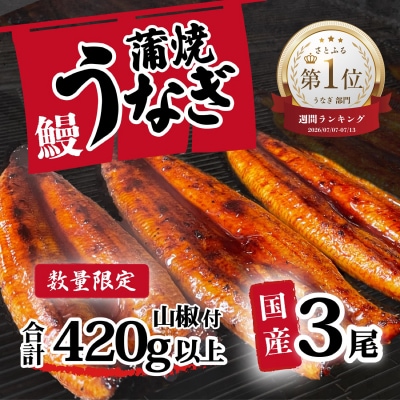 【数量限定】【訳あり】 国産うなぎ 蒲焼き 3尾 420g以上 大きさ不揃い 山椒付き