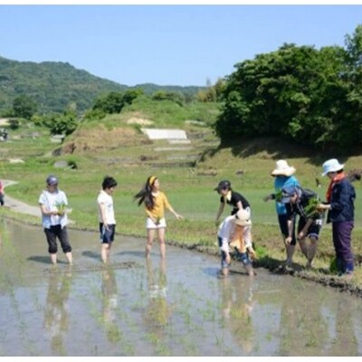 田植又は稲刈体験 淡路島の棚田米5kg付き　ae01040