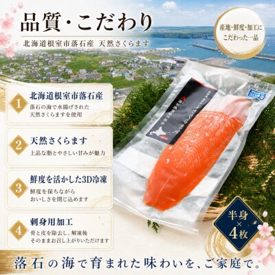 【北海道根室産】さくらます半身×4枚 B-20003