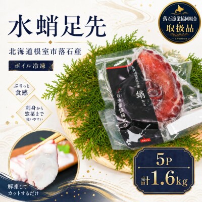 【北海道根室産】ボイル水たこ足先5P(計1.6kg) B-20006
