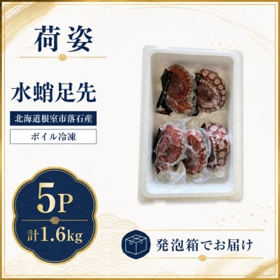 【北海道根室産】ボイル水たこ足先5P(計1.6kg) B-20006