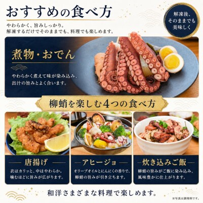 【北海道根室産】柳蛸ボイル8杯(計8.5kg)[8月上旬以降発送] E-20005