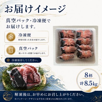 【北海道根室産】柳蛸ボイル8杯(計8.5kg)[8月上旬以降発送] E-20005