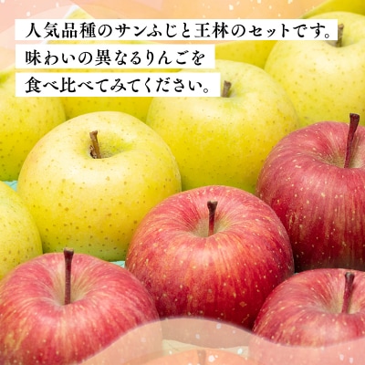 年内 サンふじ×王林約5kg 【JA津軽みらい・平川市産・青森りんご・12月】