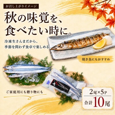 【北海道根室産】冷凍生さんま2尾×5P G-20006