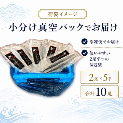 【北海道根室産】冷凍生さんま2尾×5P G-20006