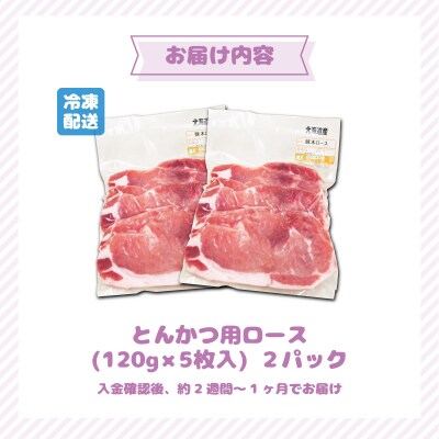北海道産豚肉・とんかつ用ロース1.2kg(120g×10枚)  F21H-429