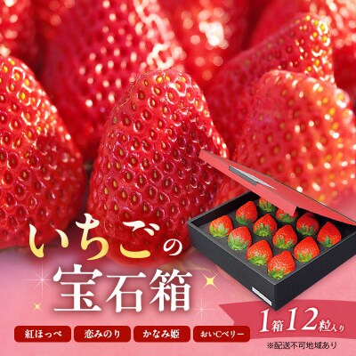 いちご 2027年 先行予約 いちごの宝石箱 1箱 12粒入り[NO5765-1224]