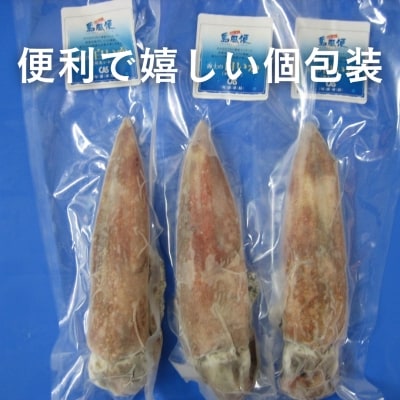 【便利な個包装】高級朝どれ白いか丸ごと3本セット【ぜひお刺身で!】