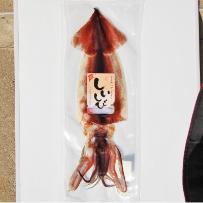 海士町産するめの一夜干し「しいしび」2枚セット