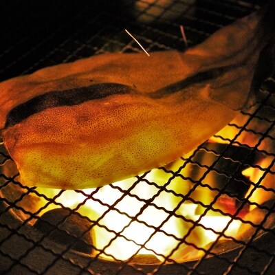 海士町産するめの一夜干し「しいしび」2枚セット