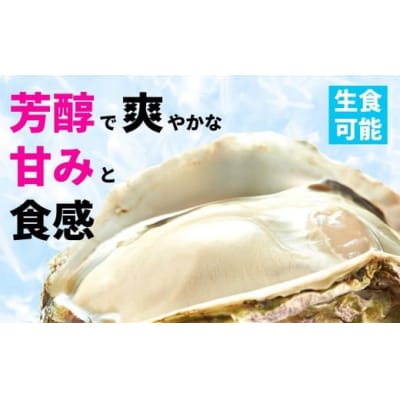 牡蠣 Mサイズ14個 春香 海士町