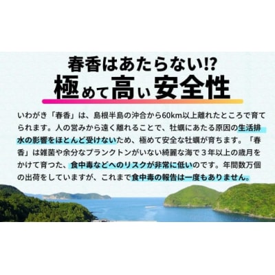 牡蠣 Mサイズ14個 春香 海士町