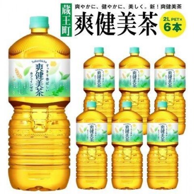 爽健美茶2LPET×6本　【04301-0528】