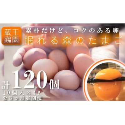 【3か月連続お届け】眠れる森のたまご 朝採れ卵40個　 【04301-0325】