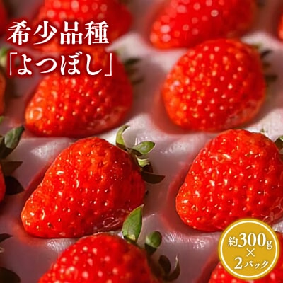 【1月中旬～4月発送】いちご よつぼし 約300g×2パック