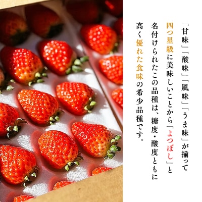 【1月中旬～4月発送】いちご よつぼし 約300g×2パック