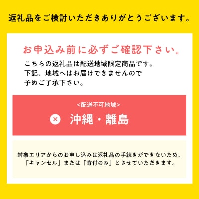 【1月中旬～4月発送】いちご よつぼし 約300g×2パック