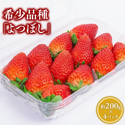 【1月中旬～4月発送】いちご よつぼし 約200g×4パック