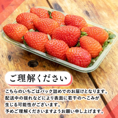 【1月中旬～4月発送】いちご よつぼし 約200g×4パック