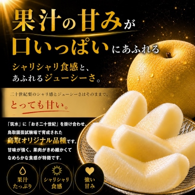 新甘泉5kg(1M.)