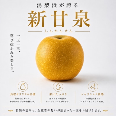 新甘泉5kg(1M.)